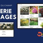 Le champ Zone répétée “Galerie d’images”