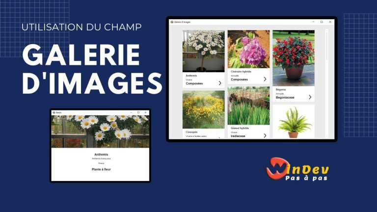 Le champ Zone répétée “Galerie d’images”