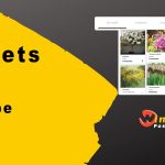 Onglets style Youtube