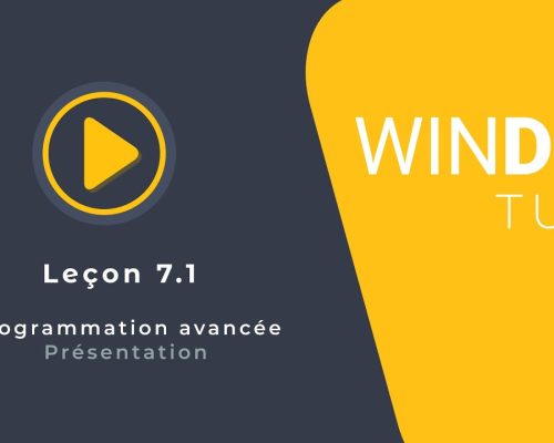 Tutoriel WINDEV : Leçon 7.1. Programmation avancée – Présentation