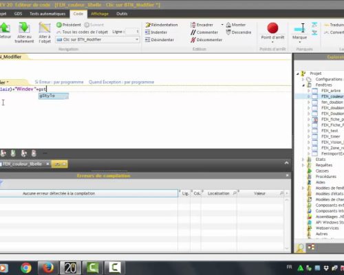 La fonction gStylo en Windev